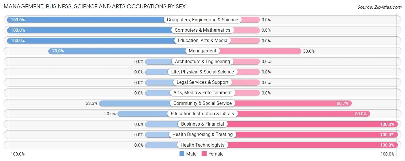 Management, Business, Science and Arts Occupations by Sex in Massena