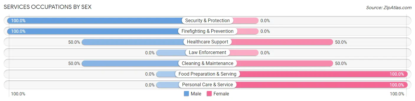 Services Occupations by Sex in Maurice