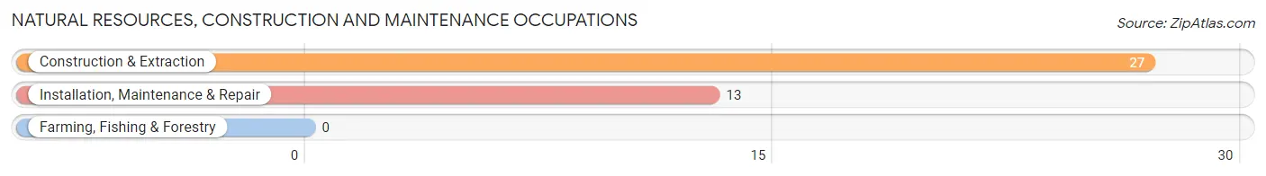 Natural Resources, Construction and Maintenance Occupations in Menlo