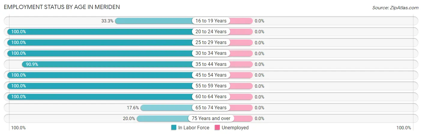 Employment Status by Age in Meriden