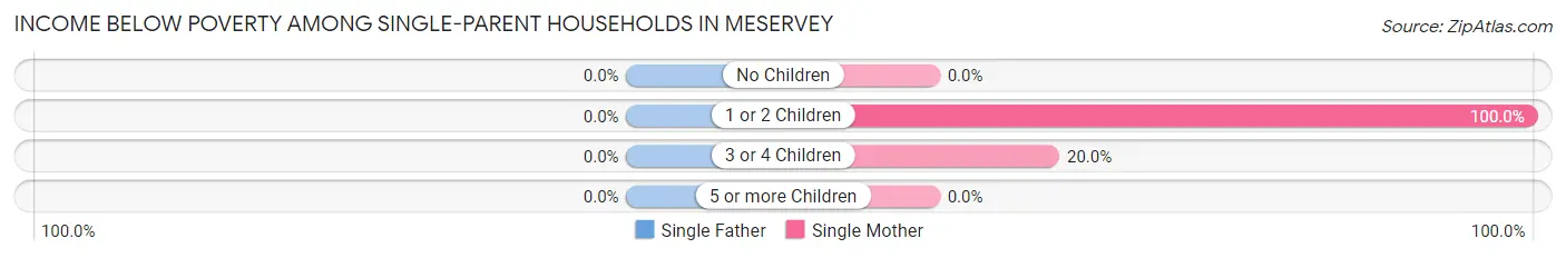 Income Below Poverty Among Single-Parent Households in Meservey