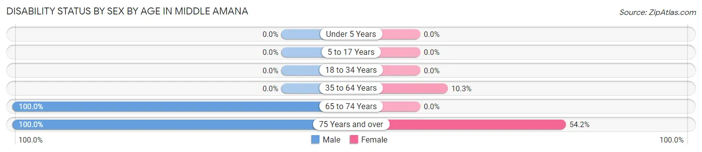 Disability Status by Sex by Age in Middle Amana
