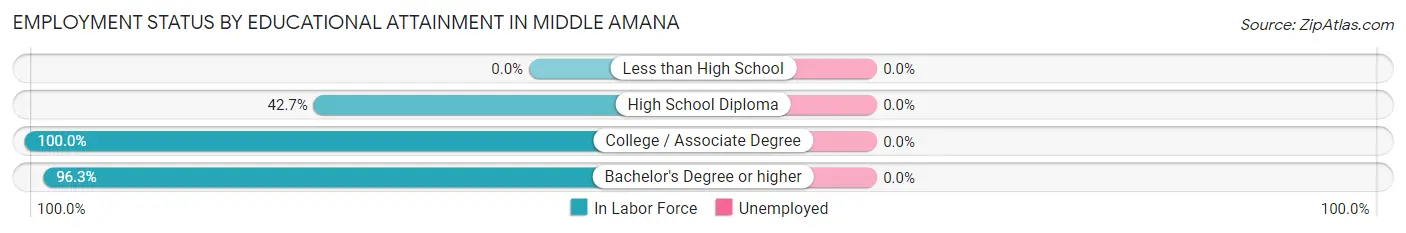 Employment Status by Educational Attainment in Middle Amana