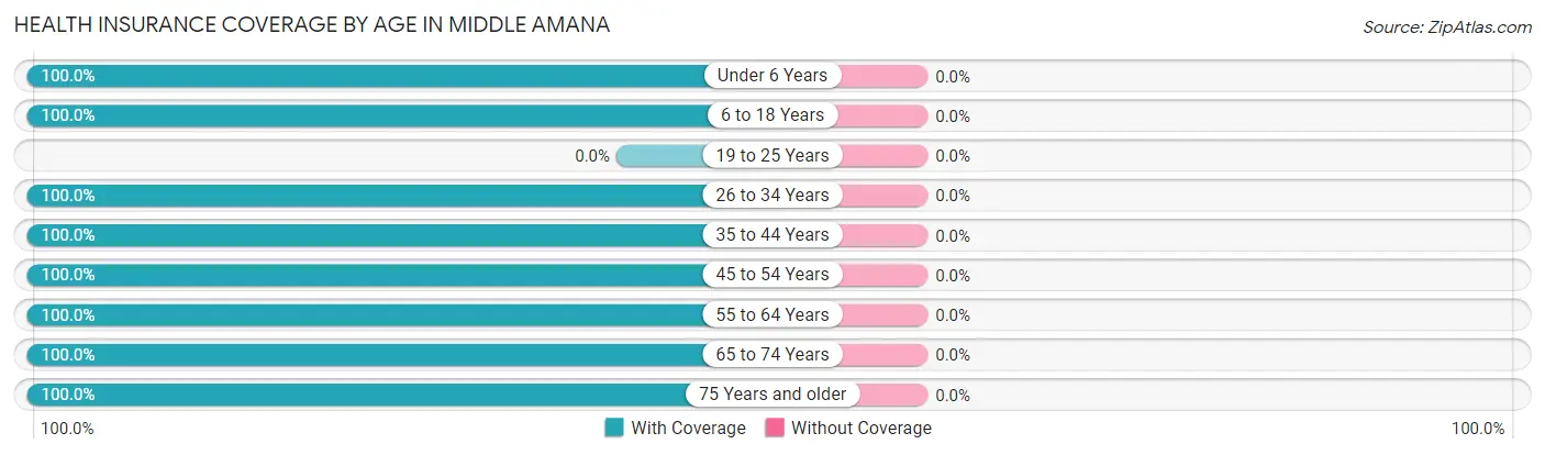 Health Insurance Coverage by Age in Middle Amana