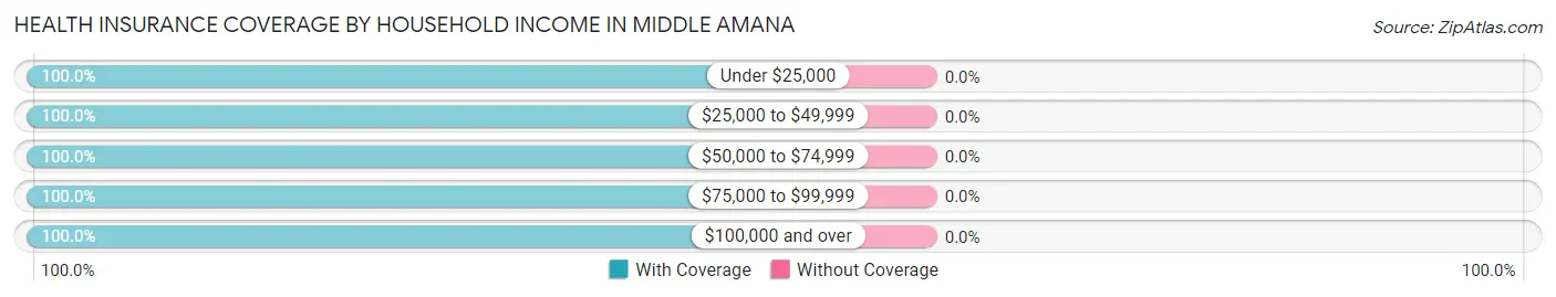 Health Insurance Coverage by Household Income in Middle Amana