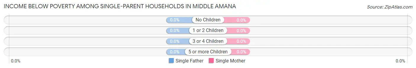 Income Below Poverty Among Single-Parent Households in Middle Amana