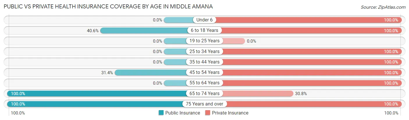 Public vs Private Health Insurance Coverage by Age in Middle Amana