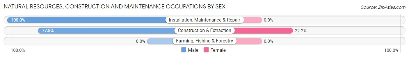 Natural Resources, Construction and Maintenance Occupations by Sex in Miles