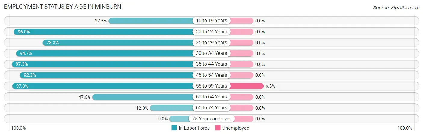 Employment Status by Age in Minburn