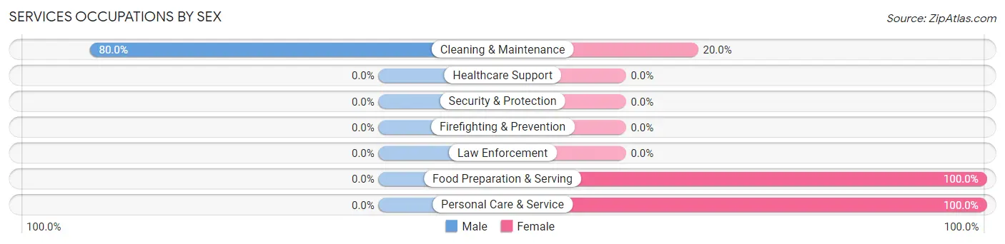 Services Occupations by Sex in Minburn