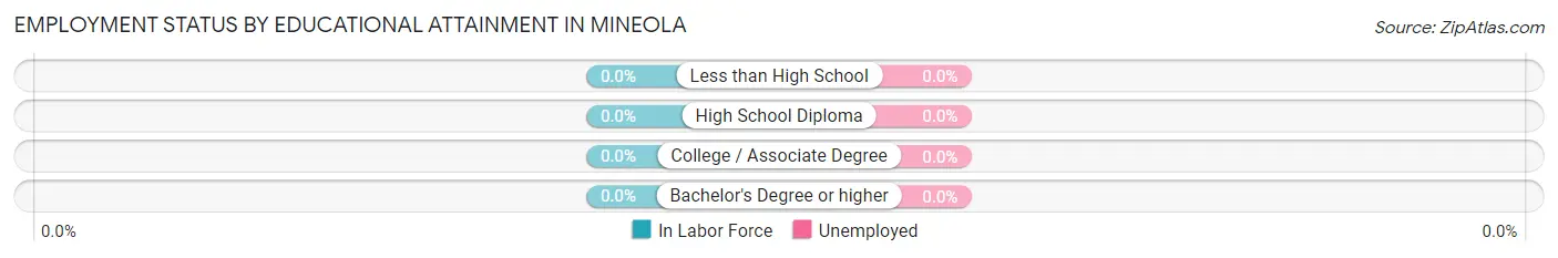Employment Status by Educational Attainment in Mineola