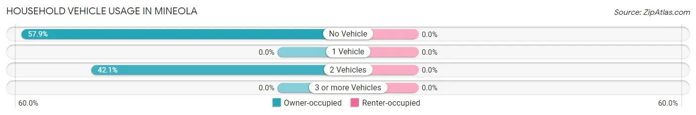Household Vehicle Usage in Mineola