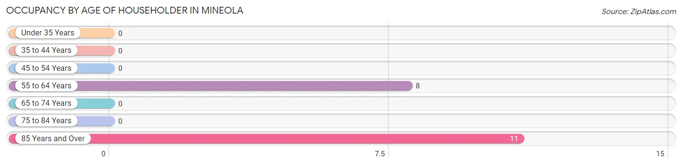 Occupancy by Age of Householder in Mineola