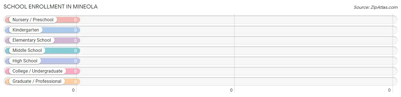 School Enrollment in Mineola