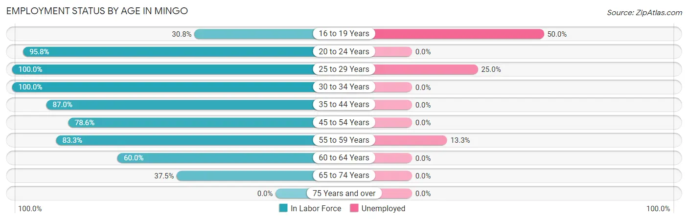 Employment Status by Age in Mingo