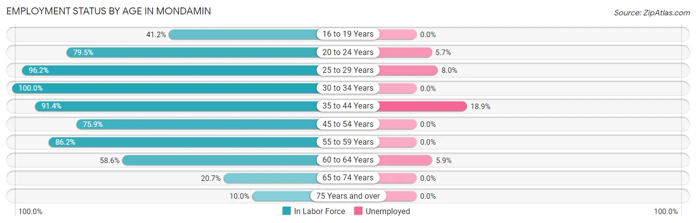 Employment Status by Age in Mondamin