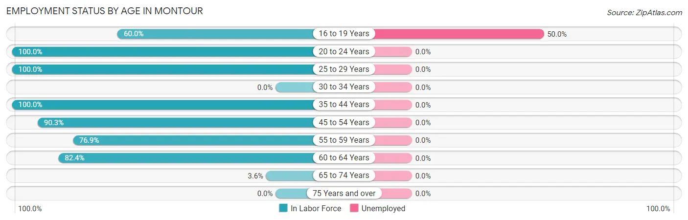 Employment Status by Age in Montour