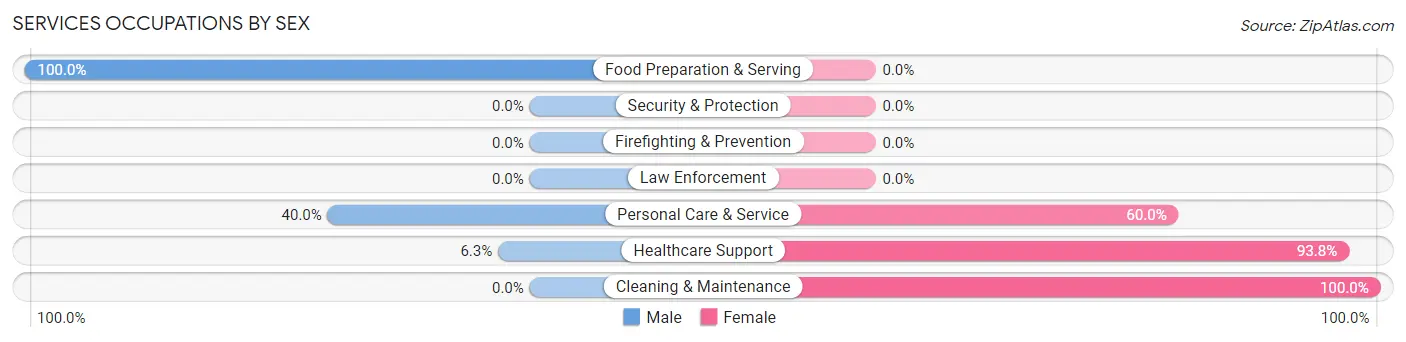Services Occupations by Sex in Montour