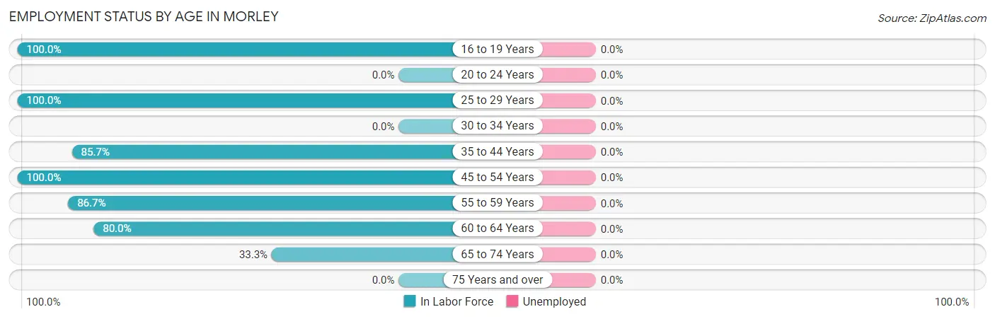 Employment Status by Age in Morley