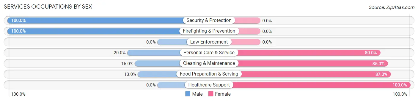 Services Occupations by Sex in Morning Sun
