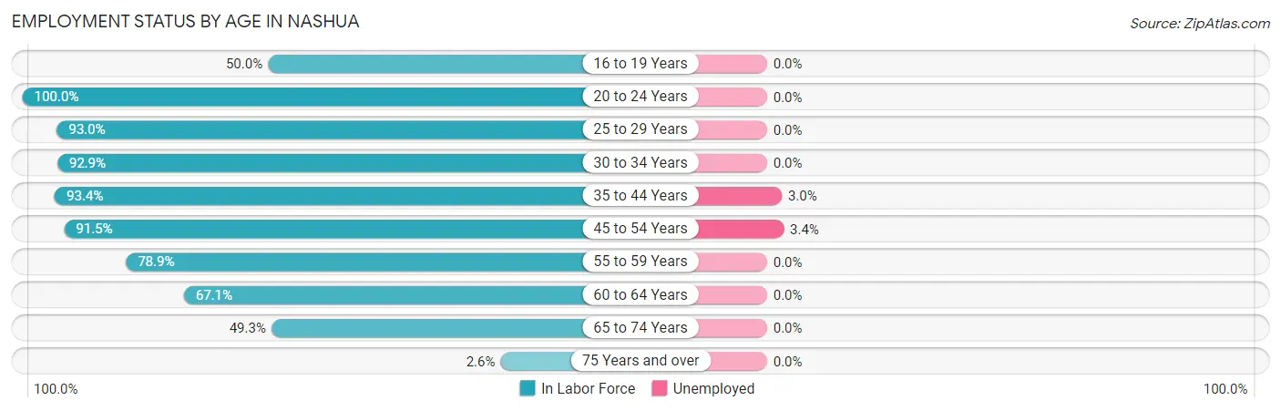 Employment Status by Age in Nashua