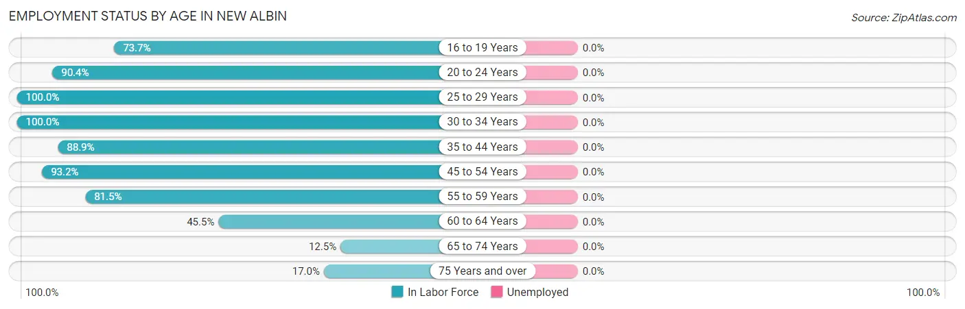 Employment Status by Age in New Albin