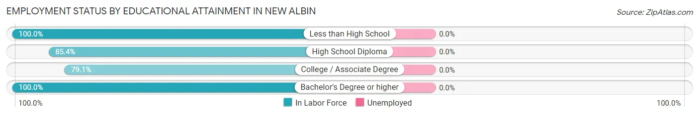 Employment Status by Educational Attainment in New Albin