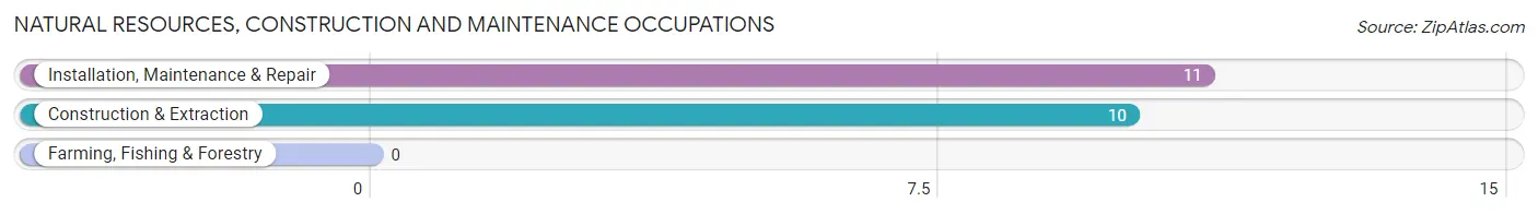 Natural Resources, Construction and Maintenance Occupations in New Hartford