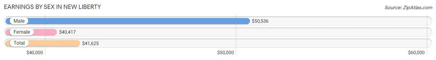 Earnings by Sex in New Liberty