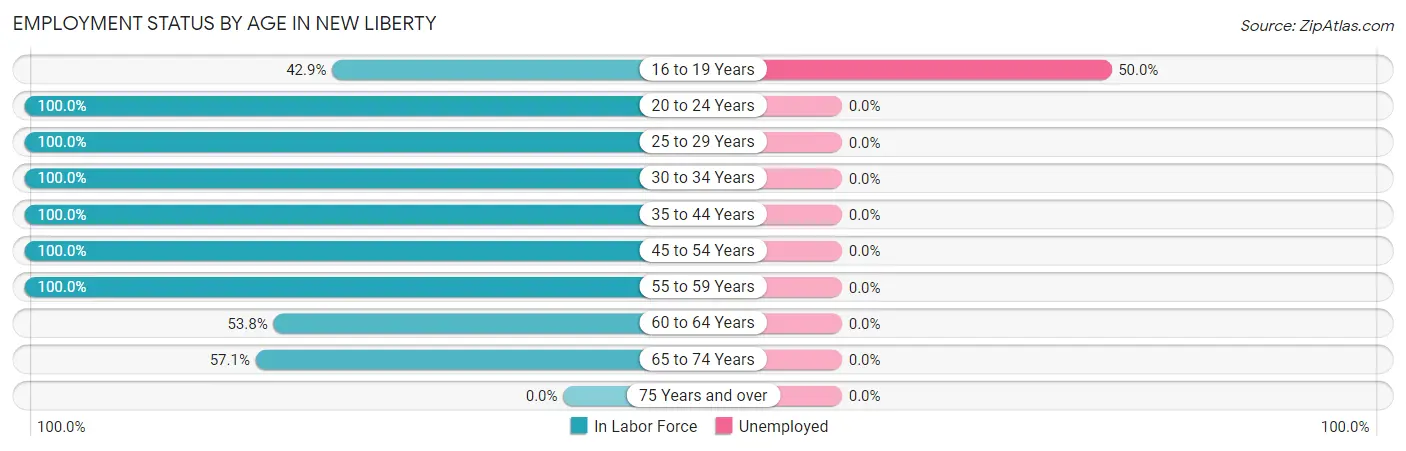 Employment Status by Age in New Liberty