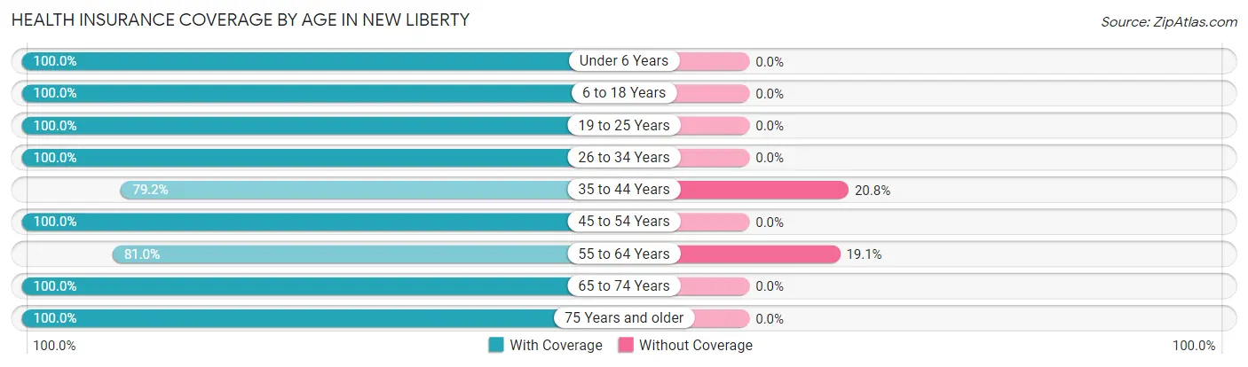 Health Insurance Coverage by Age in New Liberty