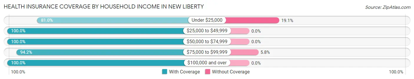 Health Insurance Coverage by Household Income in New Liberty