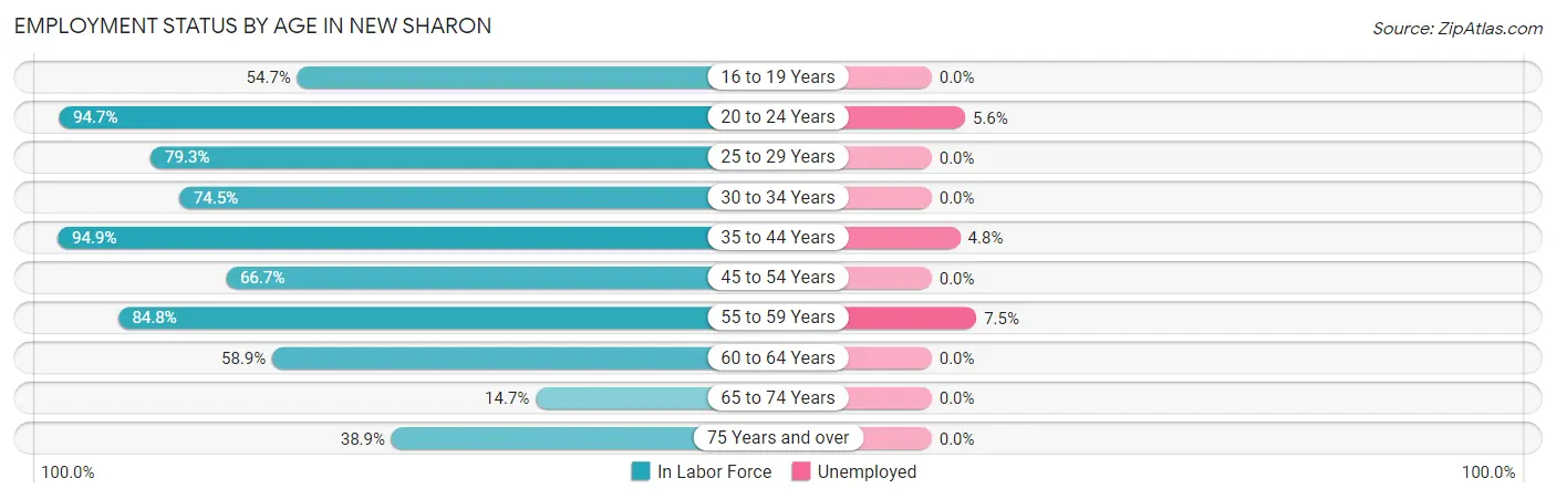 Employment Status by Age in New Sharon
