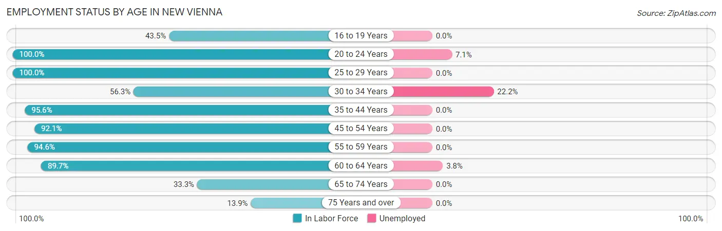 Employment Status by Age in New Vienna