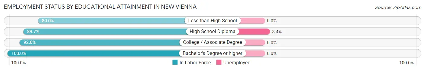 Employment Status by Educational Attainment in New Vienna