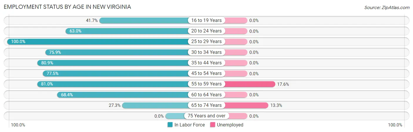 Employment Status by Age in New Virginia