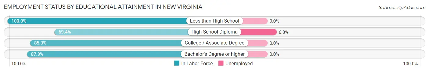 Employment Status by Educational Attainment in New Virginia