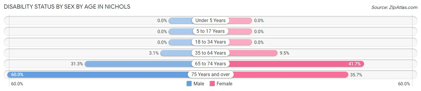 Disability Status by Sex by Age in Nichols