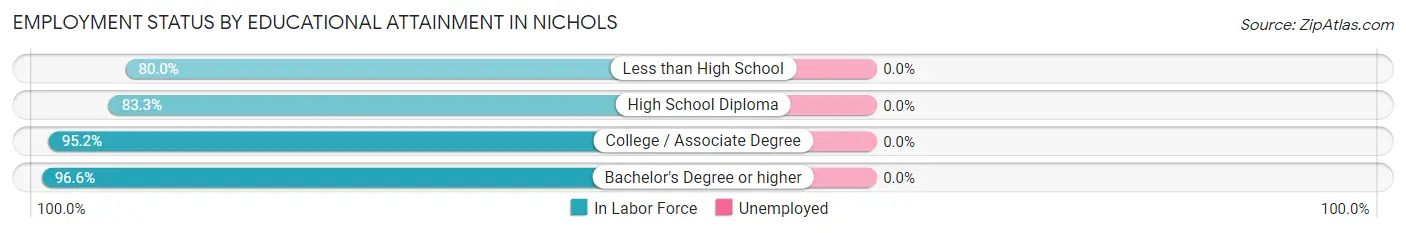 Employment Status by Educational Attainment in Nichols