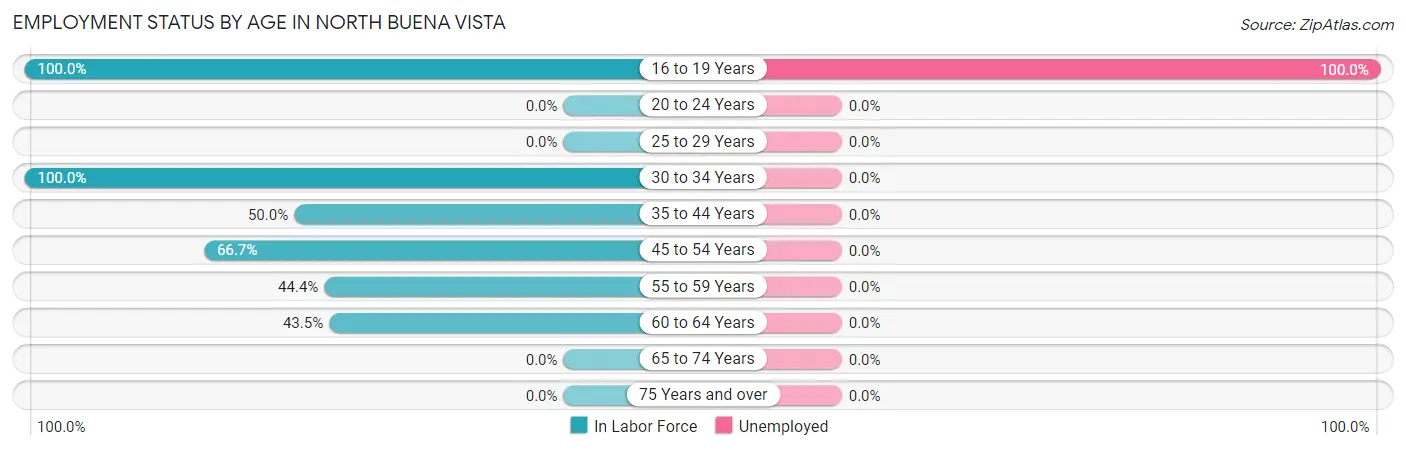 Employment Status by Age in North Buena Vista