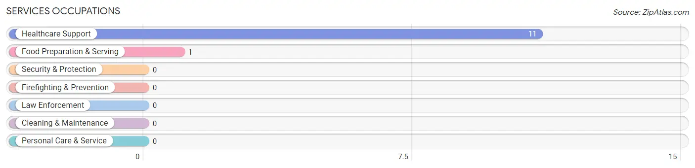 Services Occupations in North Washington