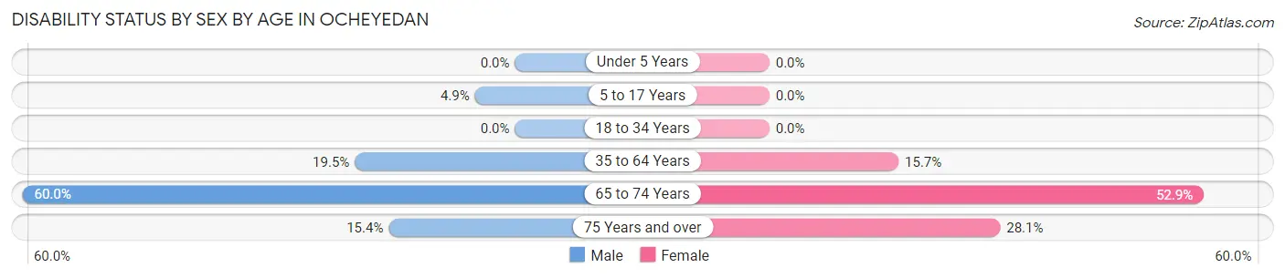 Disability Status by Sex by Age in Ocheyedan