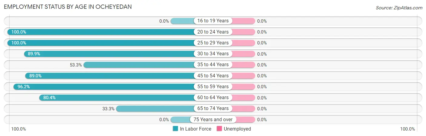 Employment Status by Age in Ocheyedan