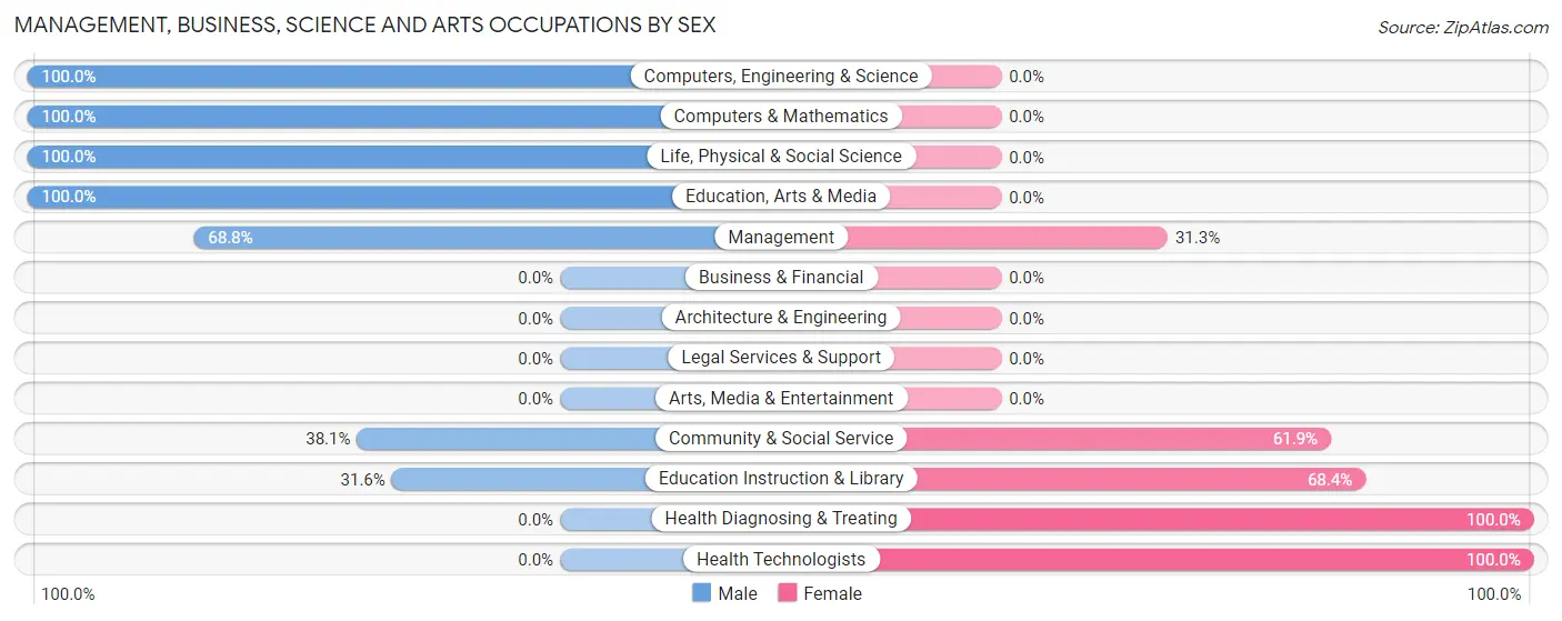 Management, Business, Science and Arts Occupations by Sex in Ocheyedan