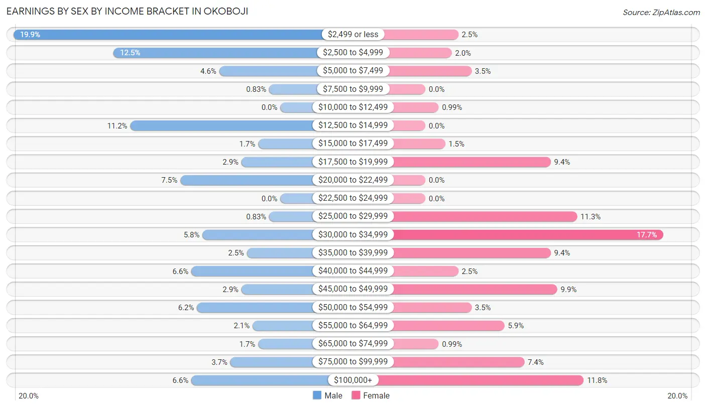 Earnings by Sex by Income Bracket in Okoboji