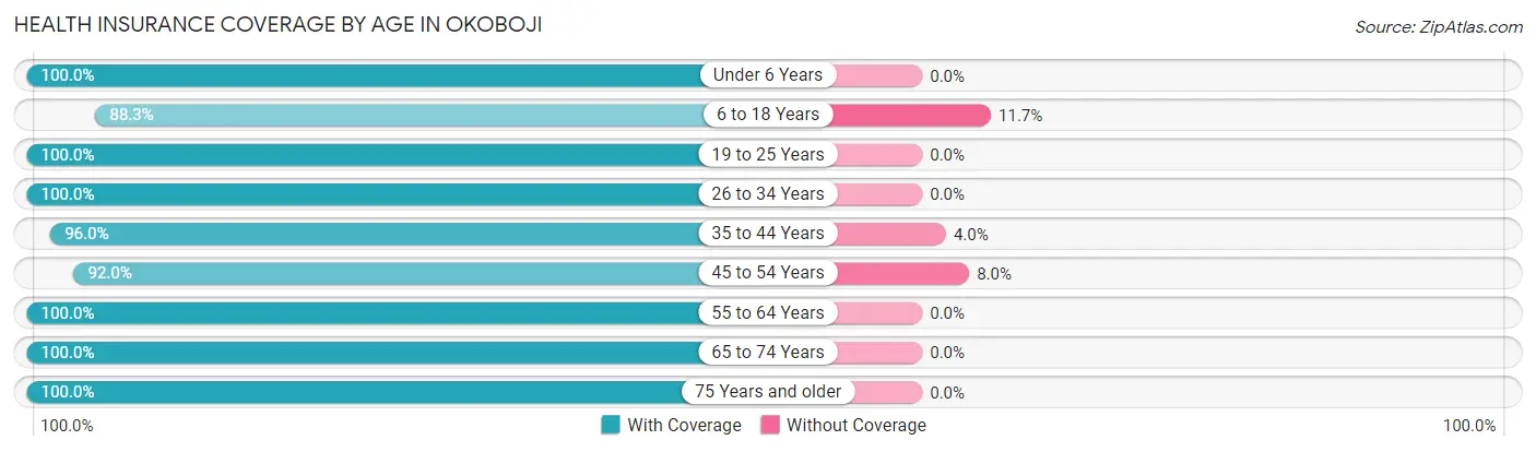 Health Insurance Coverage by Age in Okoboji