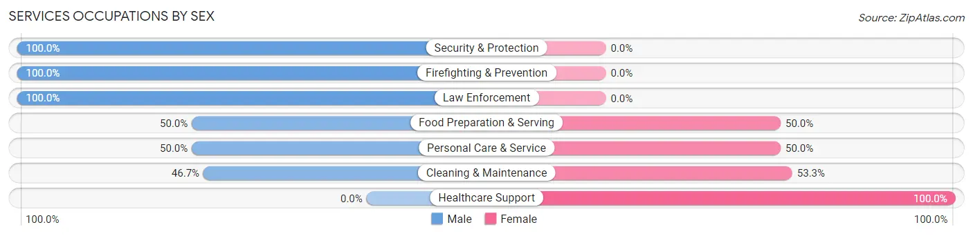 Services Occupations by Sex in Olin