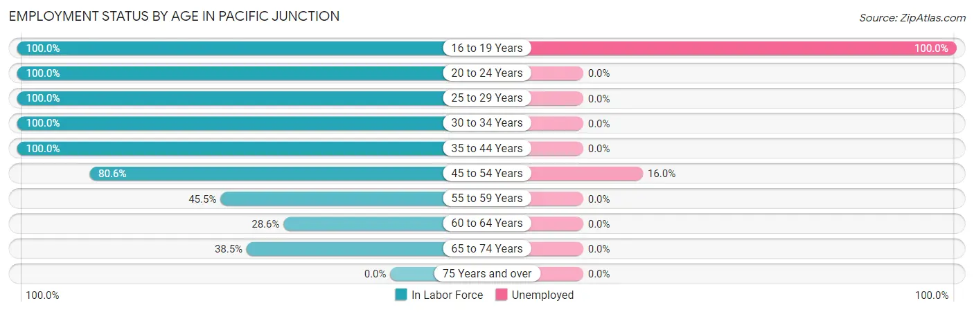Employment Status by Age in Pacific Junction