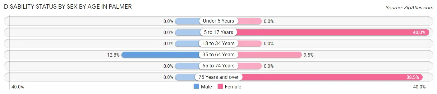 Disability Status by Sex by Age in Palmer