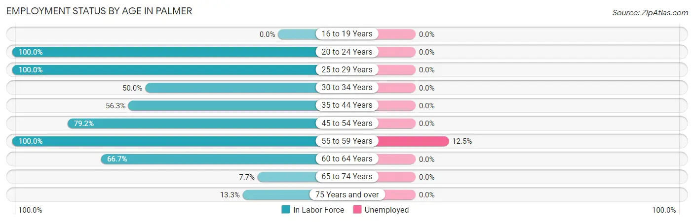 Employment Status by Age in Palmer
